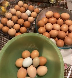 Huevos frescos $6 dolares La docena