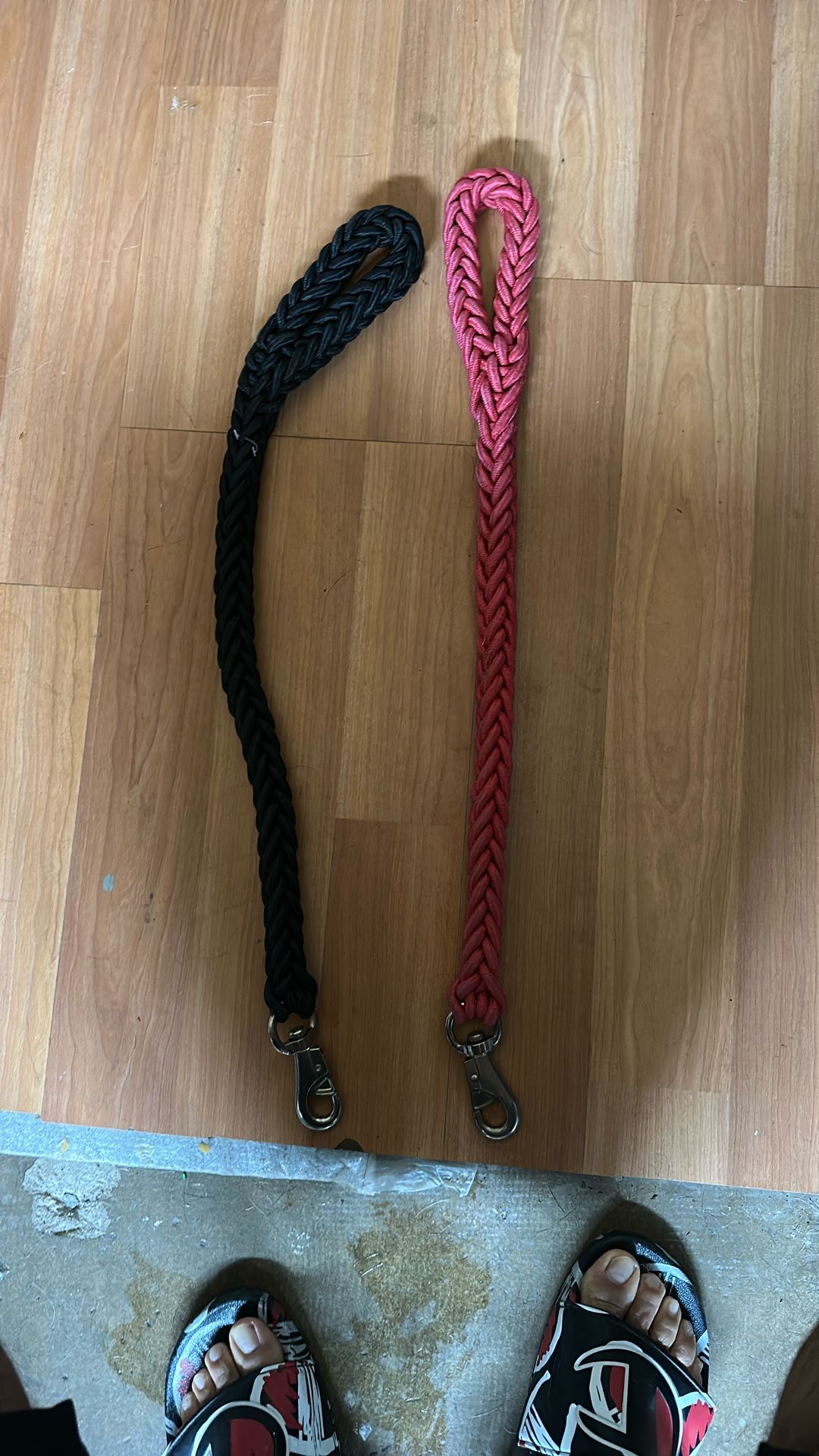 Dog Leash
