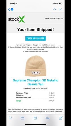 Supreme x Champion Beanie