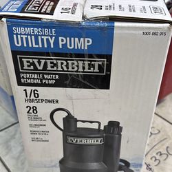 Ever built Transfer pump submersible