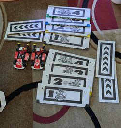 Mariokart Live Home Circuit - Two Mario Editions