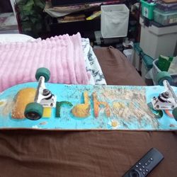 Birdhouse Skateboard 