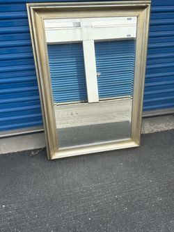 z GALLERIE MIRROR SEVILLE 24X36 PLATINUM