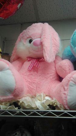 Bunny