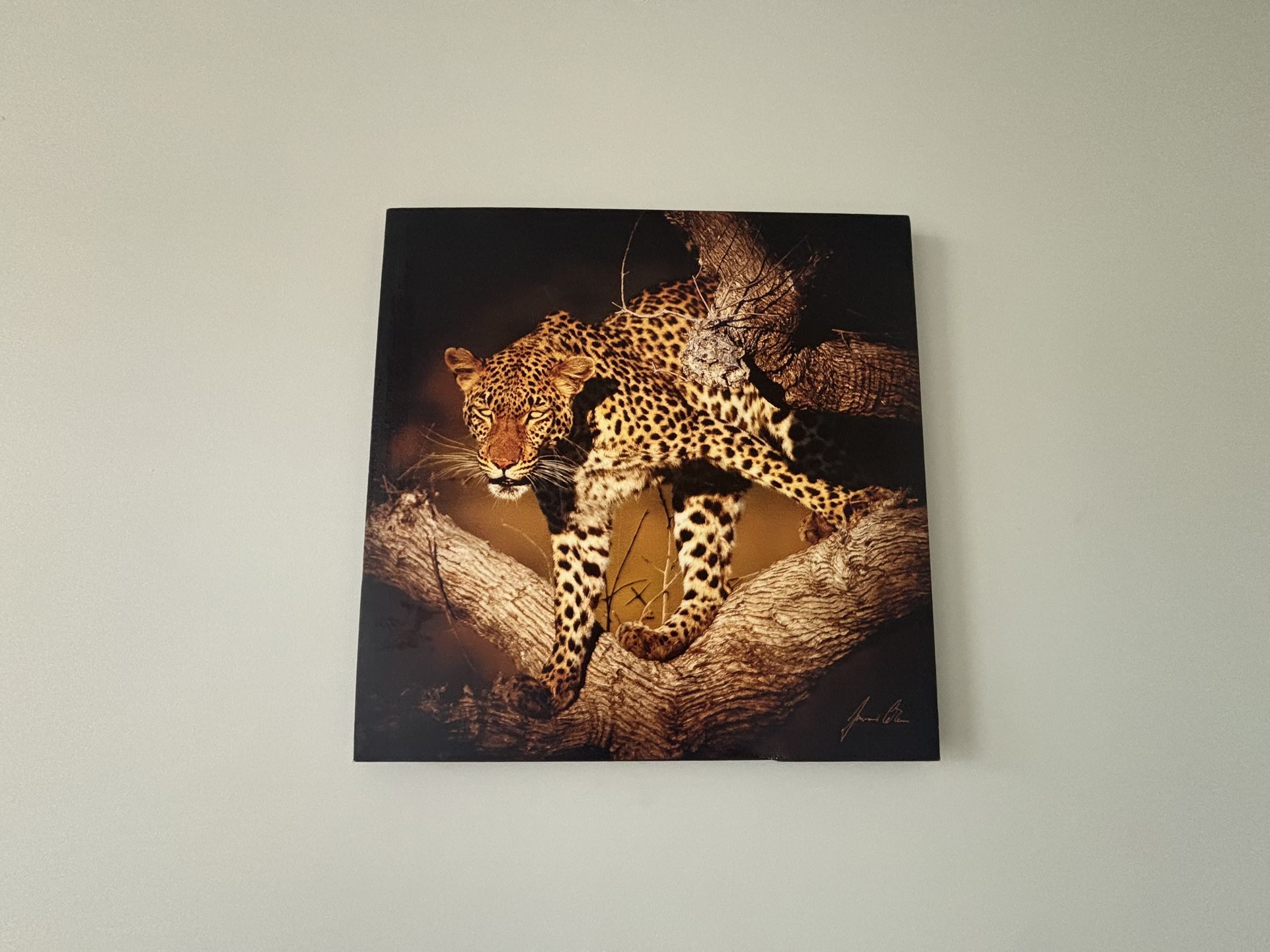 Canvas Art
