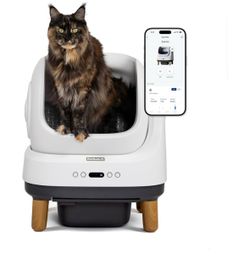 PetSafe ScoopFree OpenSky Automatic Self-Cleaning Cat Litter Box Advanced Odor Control App Controlled with Health Monitoring Works with Any Litter Up 