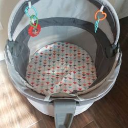 Portable Bassinet 