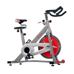 Sunny Exercise Bike