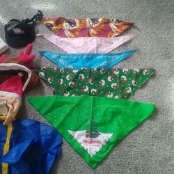 Small Dog Bandanas