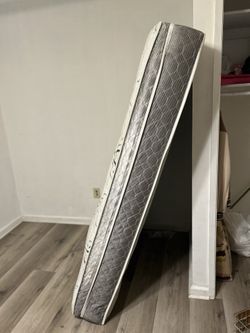 Full Size Matters
