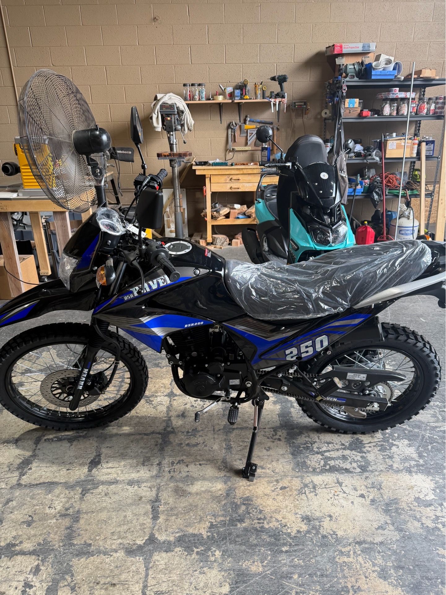Raven BSR 250