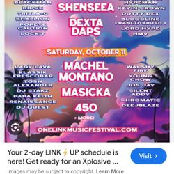 One LINK MUSICAL FESTIVAL 