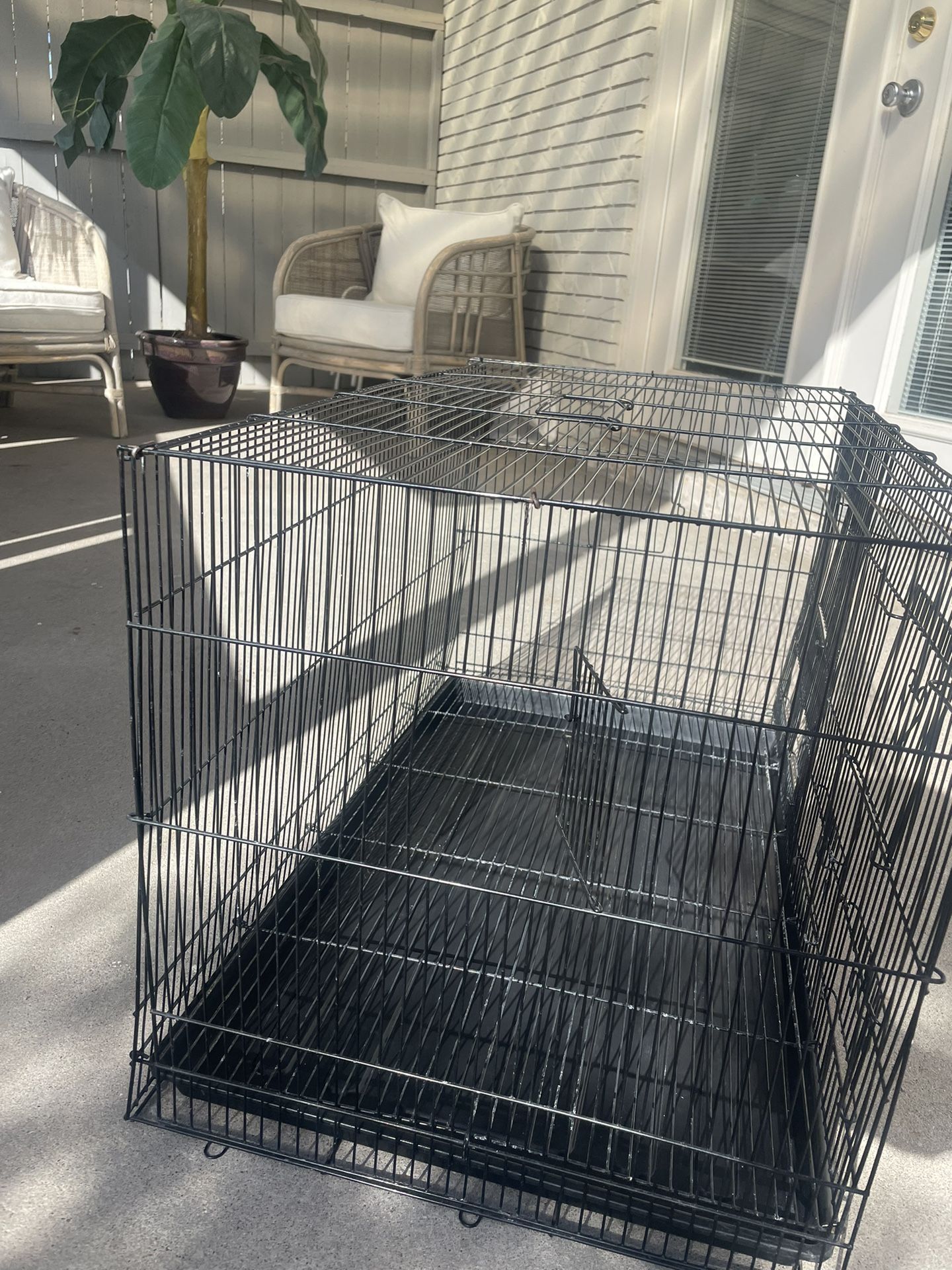 Bird Cage