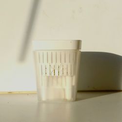 Self Watering Plant Pot/ Plant Planter/ Flower Pot Patio Garden 