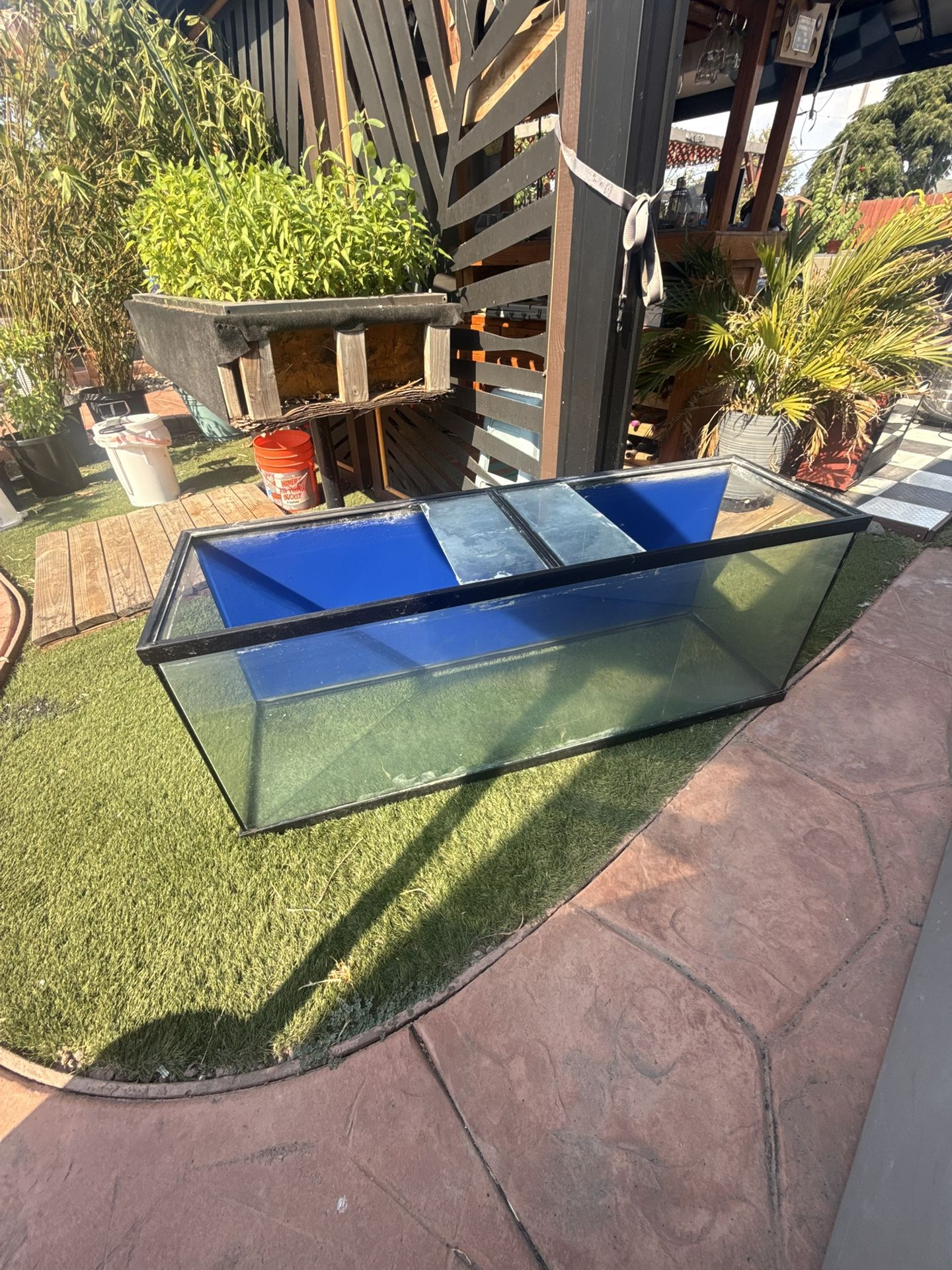 100 Plus Gallon Fish Tank