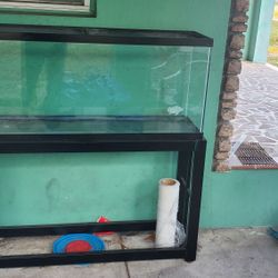 55 Gallon Aquarium And Stand