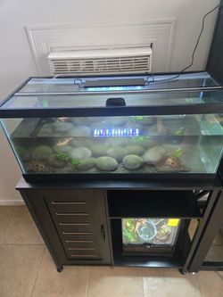 20 gallon tank and stand