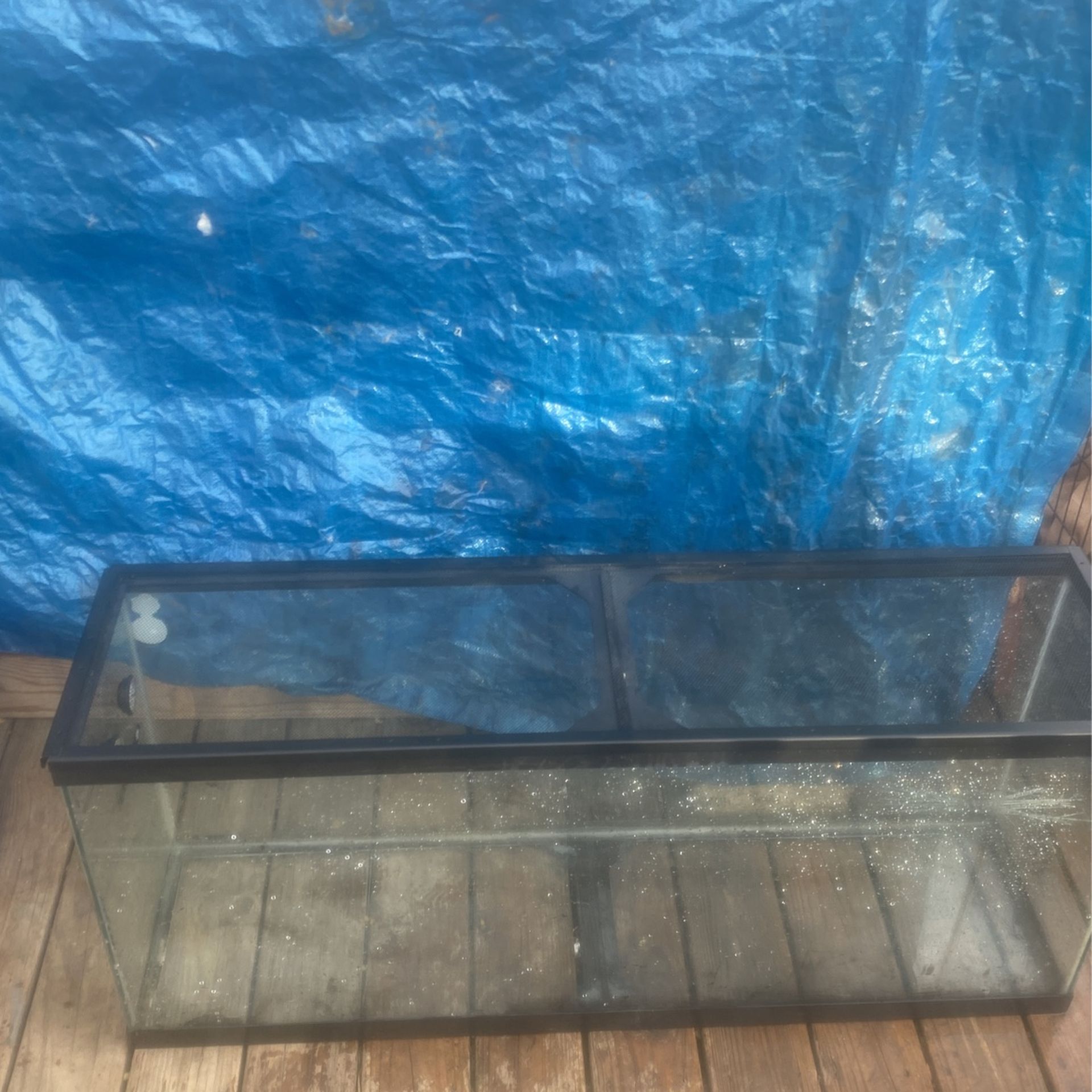 Good Tank Used It For My Lizard Best Offer