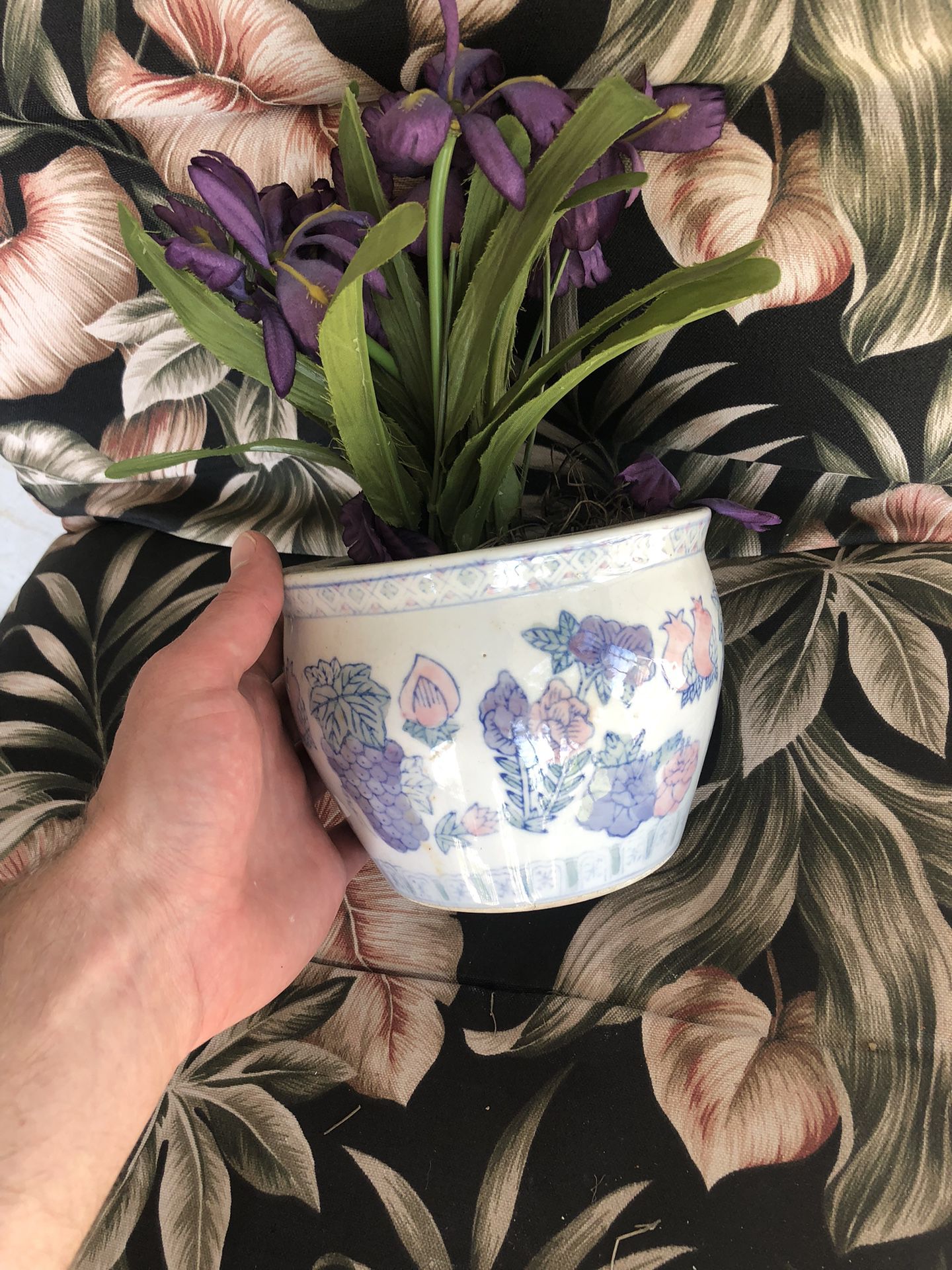 Pot With Plants
