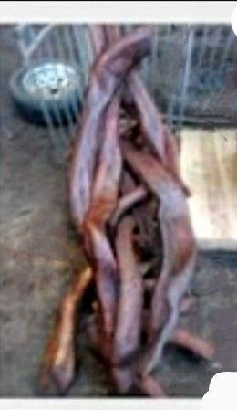 Old Growth Cedar Chair Hand Made