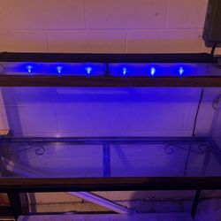 50 Gallon Fish Tank