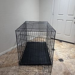 Dog Kennel 