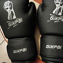 New Pair Of Boxing Gloves By Gikpal! For Martial Arts