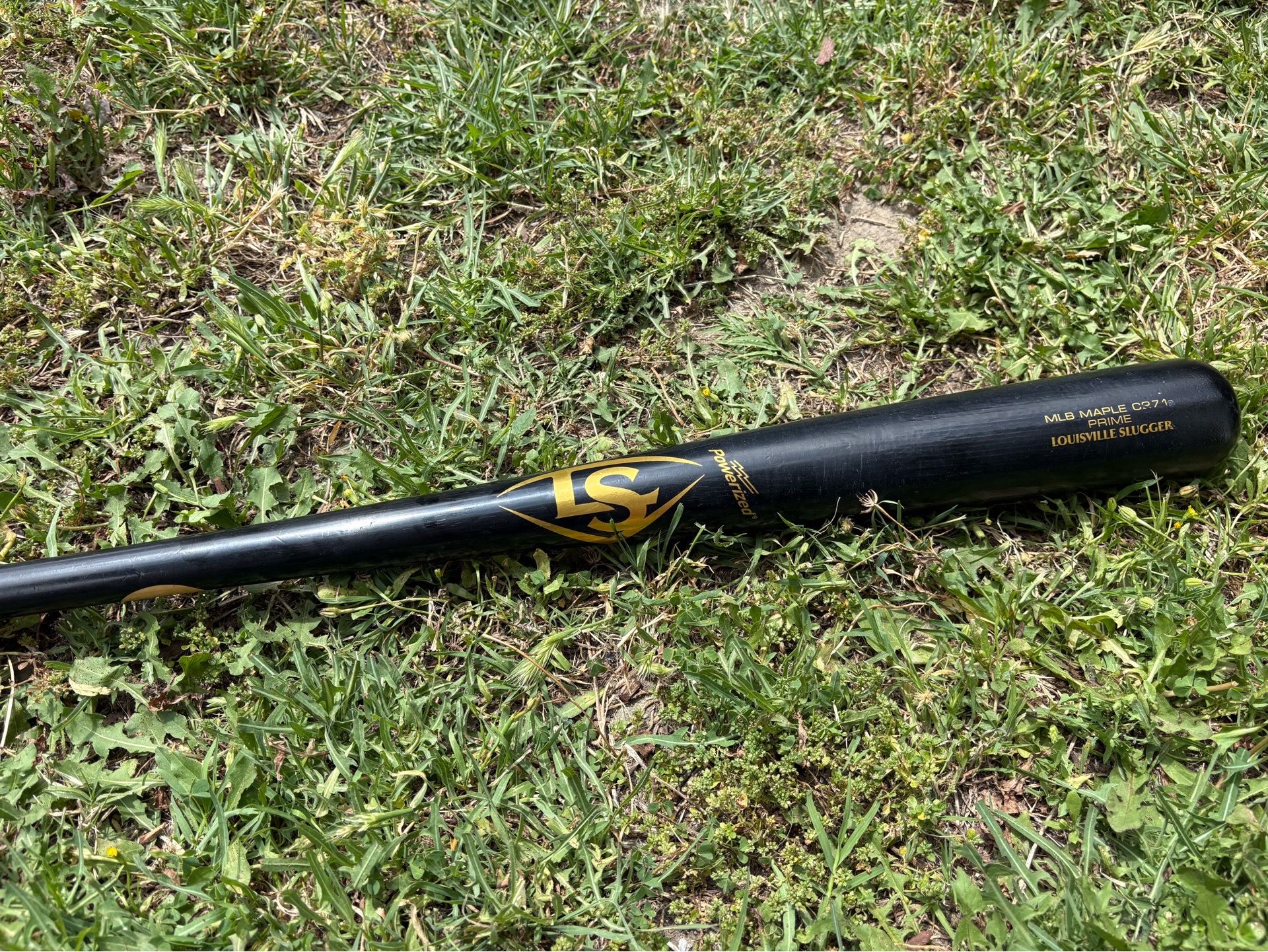 Wood Baseball Bat