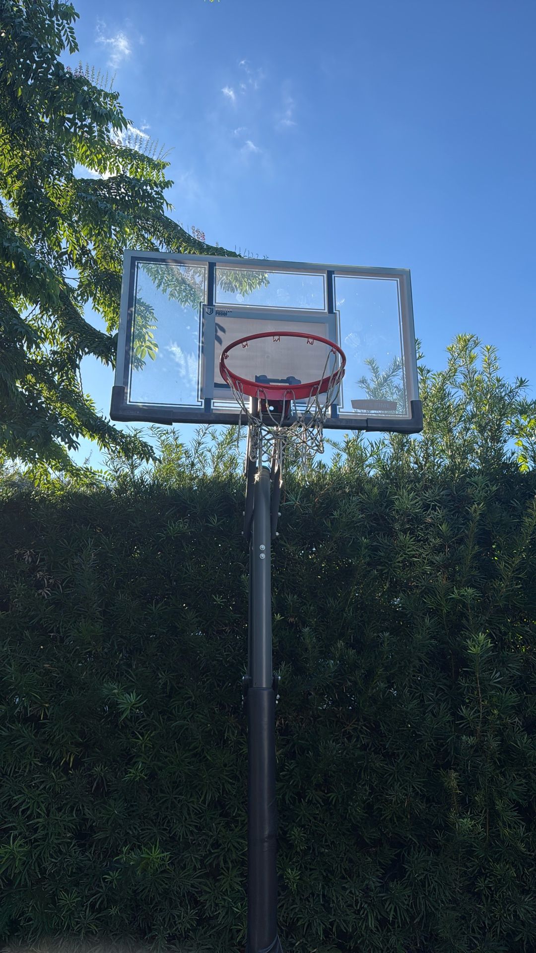 Basketball Hoop