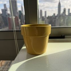 Yellow Plant Pot