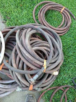 Hoses