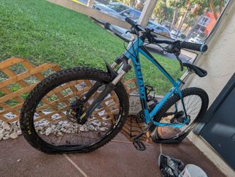 Blue Giant Mountain Bike