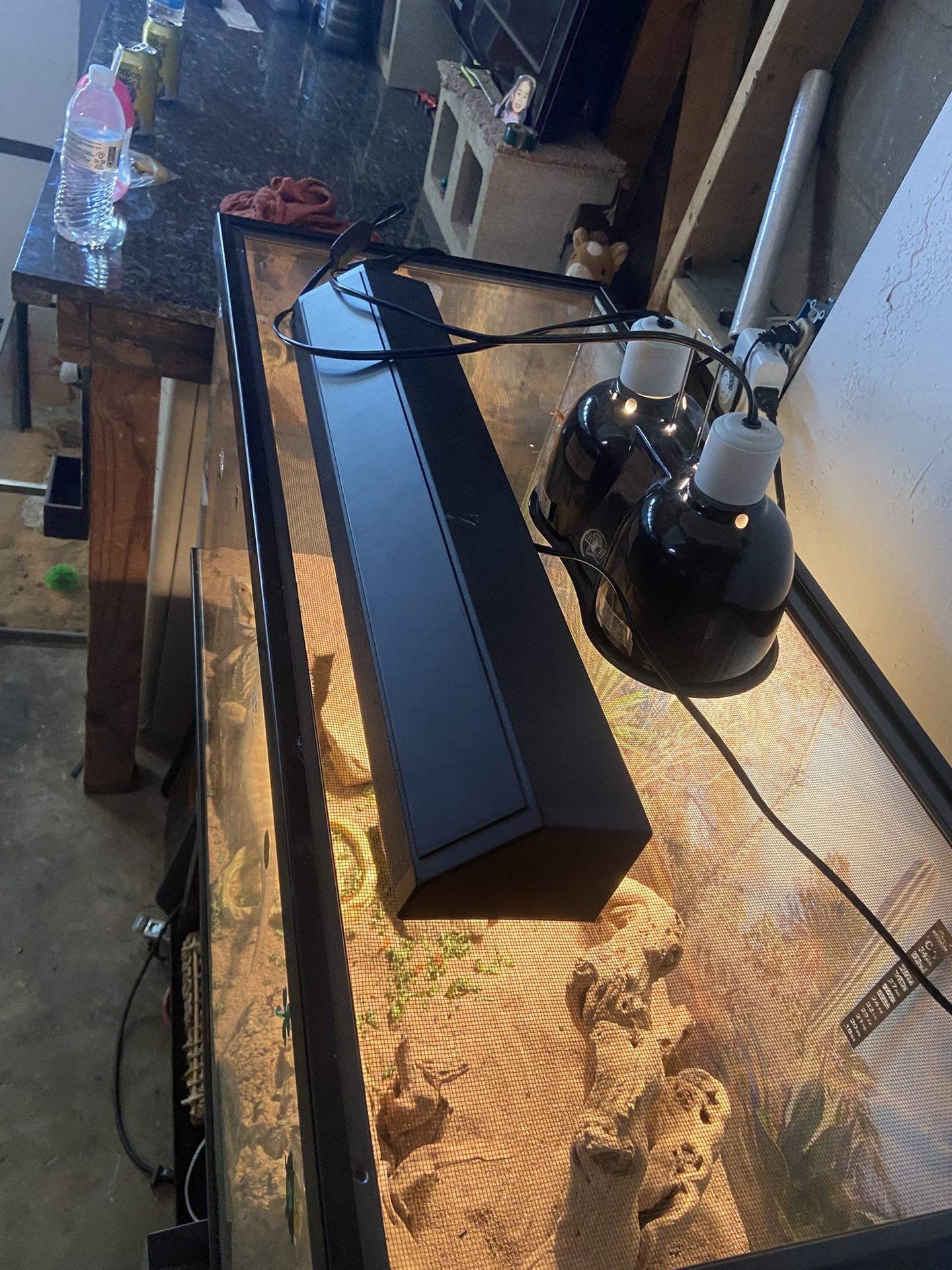 Tank And Lights