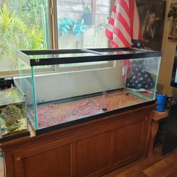 75gal AQUARIUM 