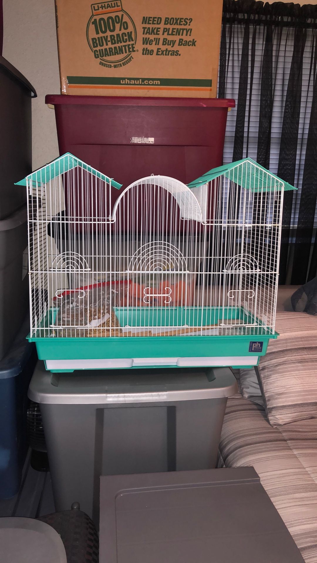 Bird Cage