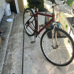 Giant Bicycle 