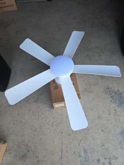 Ceiling fans with lights