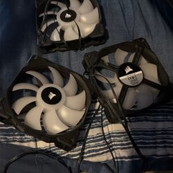 Computer Fans