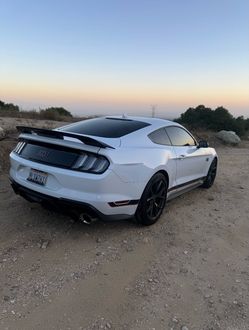Euro mustang tail lights