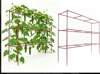 Trellis for Climbing Plants Outdoor