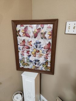 Beautiful Butterfly Picture 