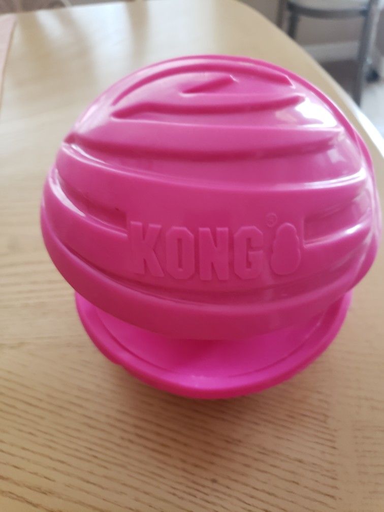 Kong Large Dog Toy