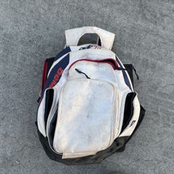 Demarini Baseball Bag