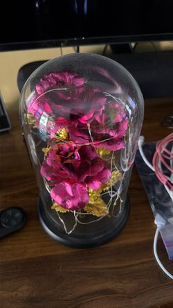 Rose foiled with lights