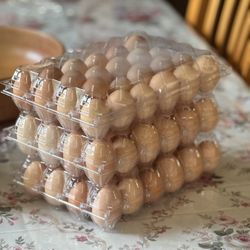 Fresh Eggs