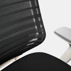 Branch Ergonomic Chair with Headrest