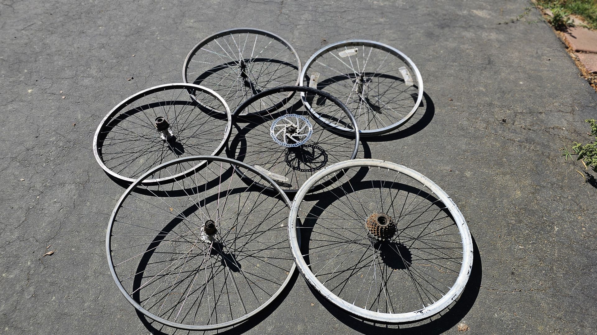 #Bike #Rims #Repurposing #Garden #Art