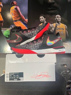 Zoom LeBrons  NXXT Gen Size 10