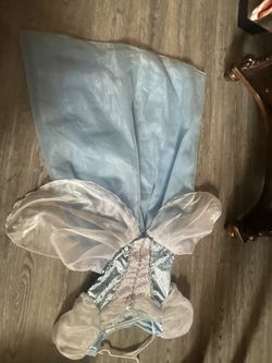 Cinderella Dress