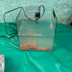 Fish Tank 